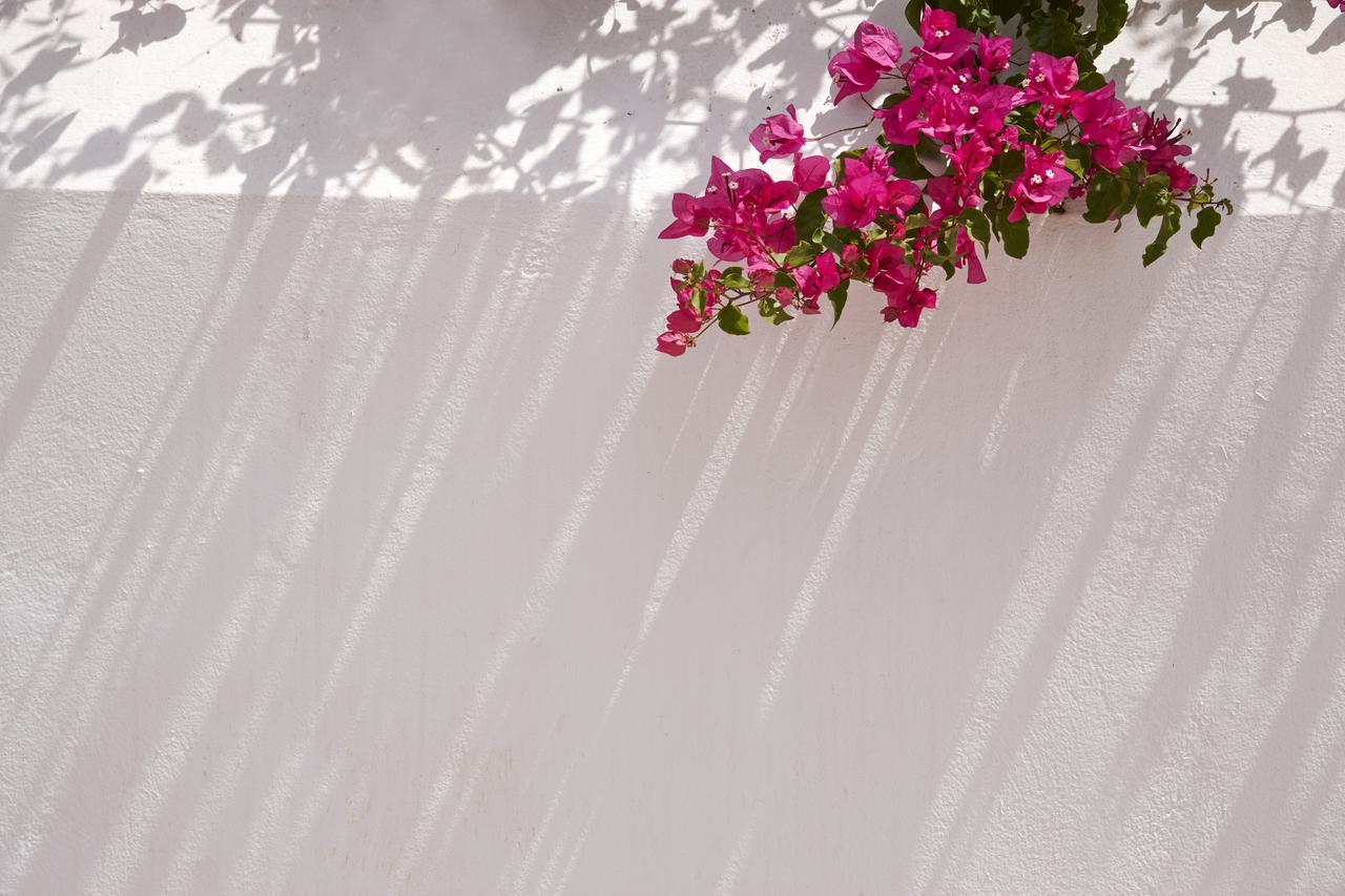 Spetses Retreat Accommodation Exterior photo